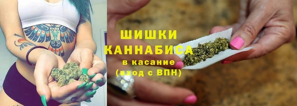 твердый Арсеньев