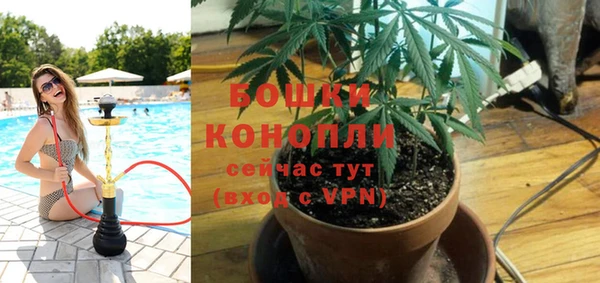 твердый Арсеньев